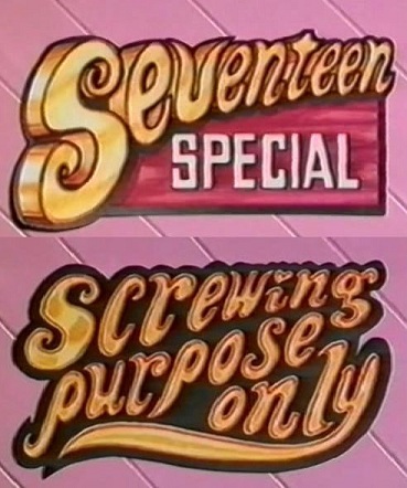 Seventeen Special. Screwing Purpose Only (1988) cover