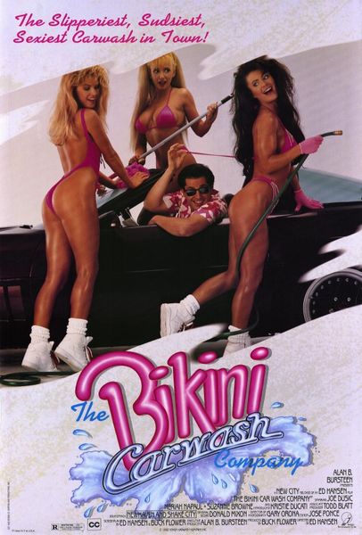 The Bikini Carwash Company (1992) cover