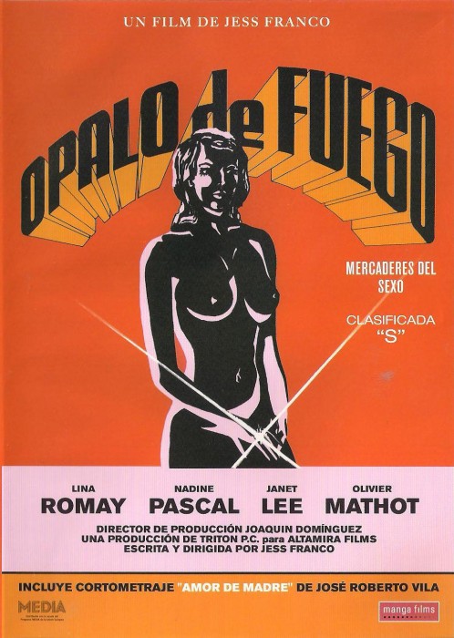 Two Female Spies with Flowered Panties (1980) cover