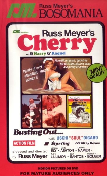 Cherry, Harry & Raquel! (1970) cover