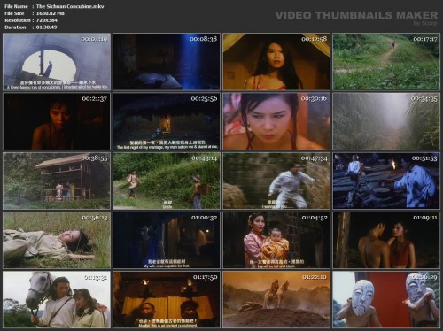 The Sichuan Concubine (1994)