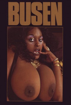 Busen 16 (Magazine) cover