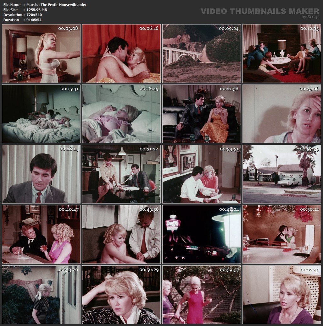 Marsha The Erotic Housewife (1969) WEBRip [~1250MB] - free download