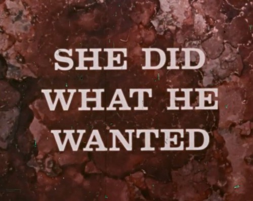 She Did What He Wanted (1971) cover