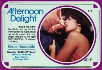 Afternoon Delight 11: Rectal Housewife (1970’s)