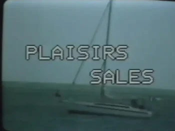 Plaisirs salés (1993)