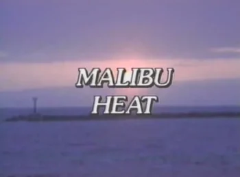 Malibu Heat (1995)