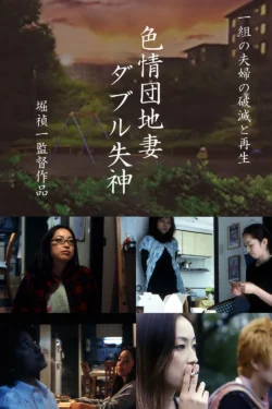 Shikijô danchizuma: Double shisshin (2006)